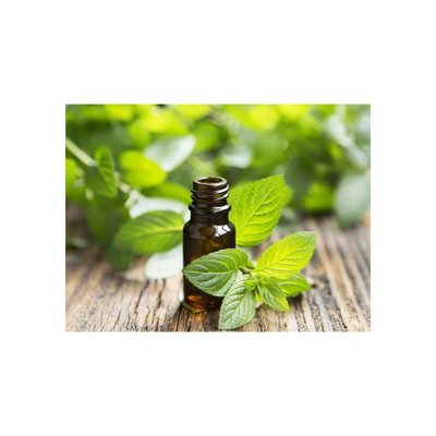 MSDS Добавки пищевого качества 99% Эфирное масло мяты CAS 8006-90-4